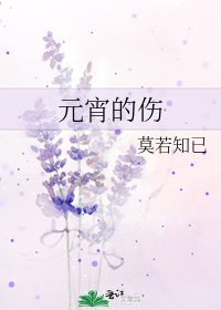 元宵的伤