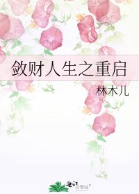 （BG/綜同人）斂財人生之重啓